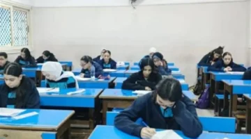 نتائج القاهرة.. خطوات الاستعلام عن درجات مليون طالب عبر بوابة التعليم الأساسي