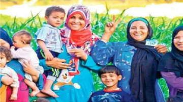 هل يصل معاش تكافل وكرامة يناير 2026 لحسابك؟ رابط الاستعلام المتاح