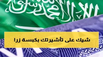 وداع الطوابير.. معاملات الخارجية في 10 ثوان من منزلك