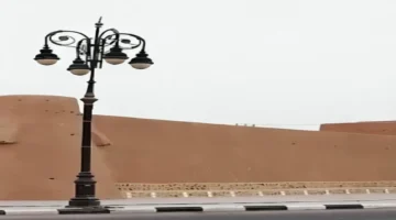 يكشف تقرير المرصد سبب تسمية لينة بهذا الاسم