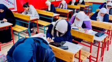 3 قطاعات في سوهاج.. موعد ظهور نتائج الشهادة الإعدادية بعد انتهاء التصحيح بالكنترولات