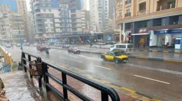 أجواء متقلبة في الإسكندرية.. انخفاض درجات الحرارة وتحذيرات من كثافة الشبورة صباحاً