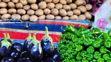أسعار خضراوات بورسعيد.. استقرار سعر كيلو البطاطس عند 10 جنيهات بالأسواق المحلية اليوم