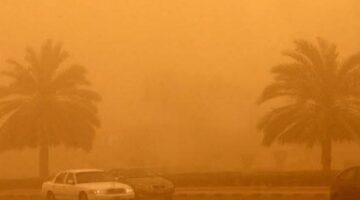 ارتفاع ملحوظ للحرارة.. حالة الطقس تشهد نشاطاً قوياً للرياح بكافة المحافظات