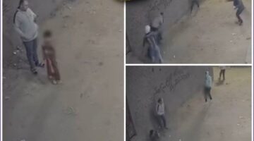 اعتداء بسلاح خرطوش.. كاميرات المراقبة توثق لحظة إصابة أب ونجله بمصر مصرة