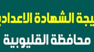 اعتماد المحافظ.. ظهور نتيجة الشهادة الإعدادية في القليوبية لجميع طلاب المحافظة