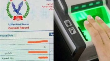 بدون المكاتب.. طريقة إصدار الفيش الجنائي إلكترونيا في دقائق عبر المنصة المصرية