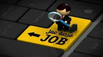 براتب 13 ألف جنيه.. فرص عمل لثلاث تخصصات عبر بوابة فرصنا بمزايا تأمينية ومواصلات