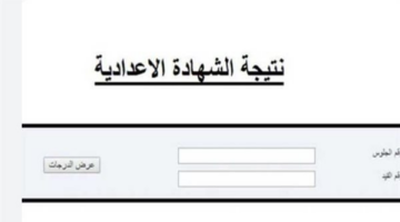 بنسبة نجاح 74.2%.. اعتماد نتيجة الشهادة الإعدادية في محافظة بورسعيد لعام 2026