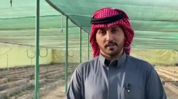 تجربة ناجحة.. مزارع سعودي يزرع 10 آلاف شتلة فراولة في محافظة طبرجل