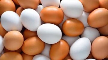 تحديثات الأسعار بأسواق سوهاج.. تكلفة شراء الألبان والبيض والبقوليات خلال تعاملات الثلاثاء