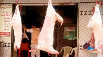 تحديثات الأسعار.. تكلفة شراء كيلو اللحوم في أسواق كفر الشيخ بتعاملات الإثنين