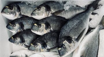 تحديثات الأسواق.. قائمة أسعار الأسماك والمأكولات البحرية في تعاملات الإثنين 2 فبراير