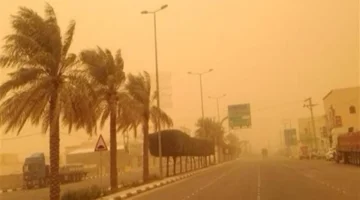 تحذير الأرصاد.. رياح مثيرة للأتربة تضرب 5 محافظات وسط أجواء صيفية مؤقتة