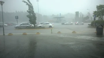 تحذير الأرصاد.. رياح محملة بالرمال تضرب عدة محافظات خلال طقس الخميس الجديد