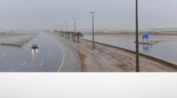 تحذير لمدن الشرقية.. أمطار غزيرة وصواعق رعدية تضرب المحافظة خلال ساعات بموجة باردة