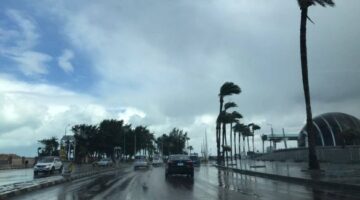 تحذير الأرصاد.. تفاصيل حالة الطقس في مصر غدا ودرجات الحرارة المتوقعة وتأثير الشبورة