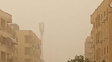 تحذير لمرضى الحساسية.. موجة أتربة تضرب طقس الإسكندرية غداً مع ارتفاع الحرارة