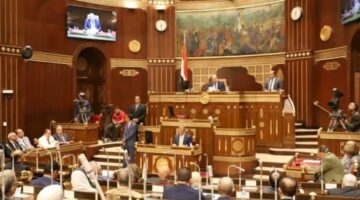 تحركات برلمانية.. مجلس الشيوخ يبحث ضوابط استخدام الأطفال للهواتف المحمولة في مصر