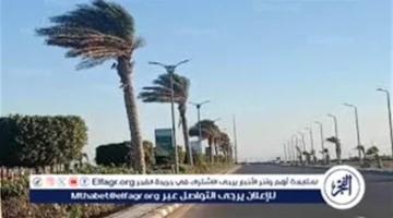 تقلبات حادة.. تحذير من حرارة القاهرة خلال 48 ساعة القادمة ونشاط الرياح