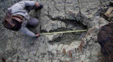 تقنية ذكية.. باحثون يطورون نظاماً لتعقب آثار أقدام الديناصورات حول العالم