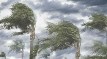 ذروة أمشير.. تقلبات مفاجئة تضرب حالة الطقس في القاهرة والمحافظات غدًا الجمعة