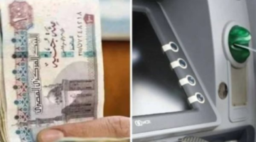 رابط تحديث البيانات.. إجراءات الحصول على دعم تكافل وكرامة عبر المنصة الإلكترونية