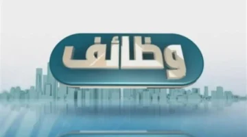 رواتب وحوافز مجزية.. وظائف مبيعات جديدة برعاية وزارة الشباب والرياضة للشباب