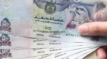 سعر الدرهم الإماراتي.. استقرار ملحوظ أمام الجنيه المصري في تعاملات الإثنين 9 فبراير 2026