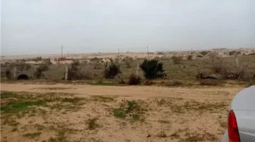 شمال سيناء تبرد.. انخفاض درجات الحرارة وتسجيل 20 مئوية في العظمى