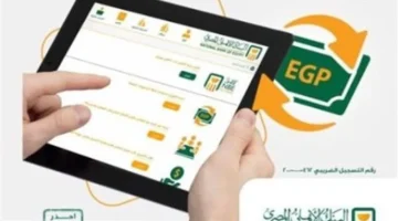 عبر الموقع الإلكتروني.. آلية استخراج رقم IBAN لعملاء البنك الأهلي خلال دقائق