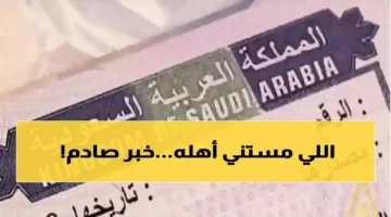 قائمة الفئات المستثناة.. تعديلات جديدة على شروط تأشيرة الزيارة العائلية في السعودية