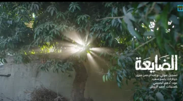 قناة المهرية.. موعد عرض الحلقة الأولى من مسلسل الضايعة بتوقيت اليمن الحادي عشر