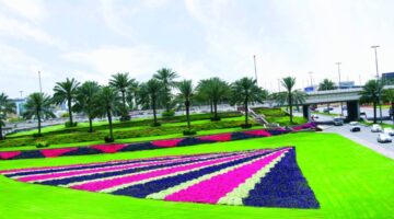 مساحات خضراء شاسعة.. دبي تسجل 55 مليون متر مربع من المسطحات النباتية المتطورة