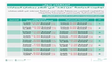 مقترح ثوري.. خبير تربوي يحدد ملامح التغيير في منصة مدرستي خلال رمضان