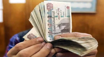مواعيد جديدة.. وزارة المالية تعلن جدول صرف مرتبات شهري فبراير ومارس 2026