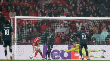 موعد ينتظره المشجعون.. مواجهة ريال مدريد وبنفيكا في دوري الأبطال والقنوات الناقلة