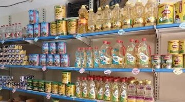 300 جنيه سعراً لكيلو زيت الزيتون في أسواق محافظة الوادي الجديد