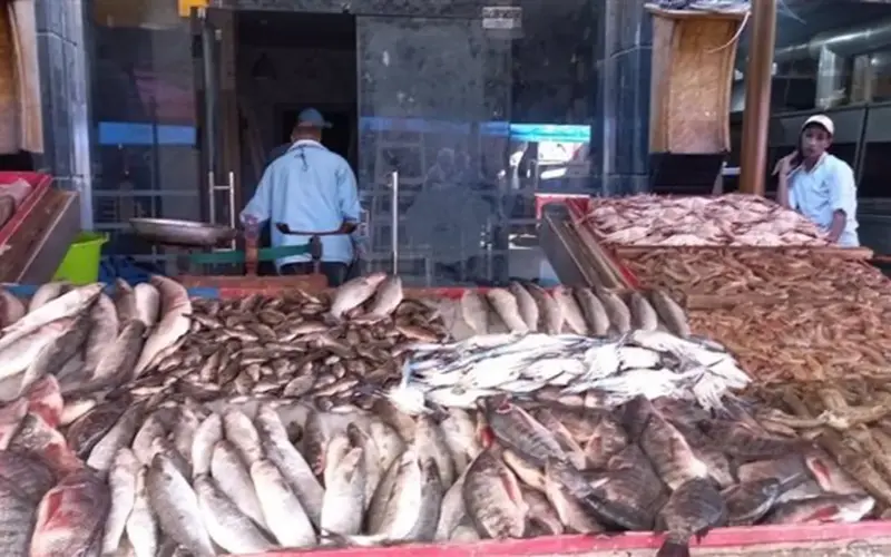 أسعار الأسماك عند ختام تعاملات الثلاثاء 31 مارس 2026