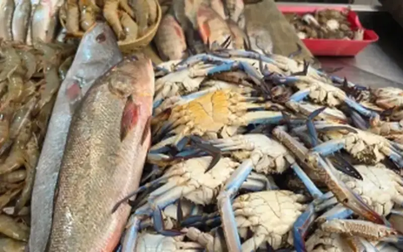 أسعار الدواجن واللحوم والأسماك اليوم الأحد في سوهاج