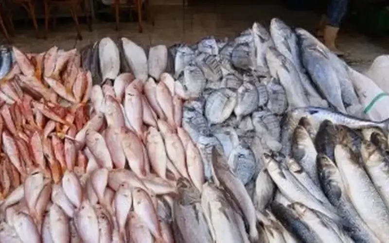 أسعار الدواجن واللحوم والأسماك اليوم السبت في محافظة سوهاج