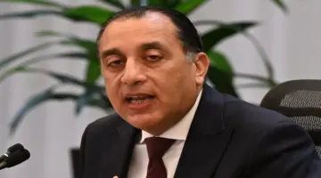 أسعار الطماطم تستقر عند 20 جنيها في سوق الجملة بعد تجاوز الأزمة