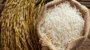 أسعار الأرز الشعير للحبة الرفيعة والعريضة في الأسواق اليوم الاثنين 16 مارس