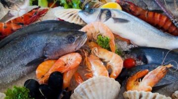 أسعار الأسماك والجمبري الأحد 22 مارس 2026 والبلطي الممتاز يسجل 80 جنيهاً