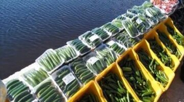 أسعار الخضراوات في بورسعيد اليوم الثلاثاء مع وصول سعر الخيار لـ35 جنيهًا