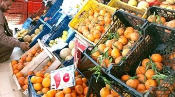 أسعار الخضراوات والفاكهة في الوادي الجديد بعد وصول الطماطم إلى 40 جنيهاً