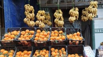 أسعار الفاكهة في سوهاج اليوم تسجل 15 جنيهاً لكيلو البرتقال بالأسواق