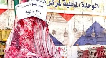 أسعار اللحوم والأسماك في منافذ الوادي الجديد بعد وصول الكيلو لـ320 جنيهاً