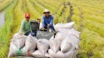 ارتفاع حجم التداول بنسبة 5% مقابل تراجع القيمة بنحو 11.2%