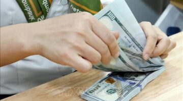 ارتفاع طفيف في سعر الدولار الأمريكي مقابل استقرار قيمة اليوان الصيني بالسوق